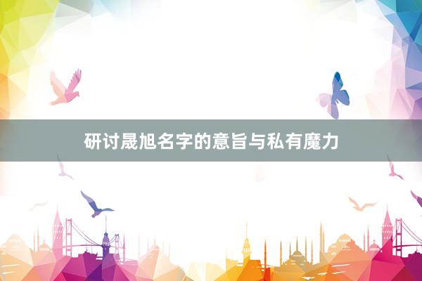 研讨晟旭名字的意旨与私有魔力