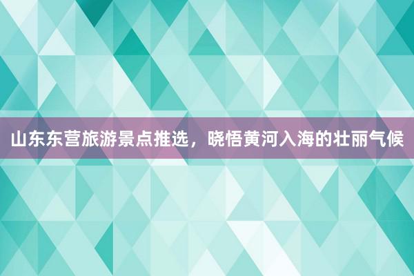 山东东营旅游景点推选，晓悟黄河入海的壮丽气候